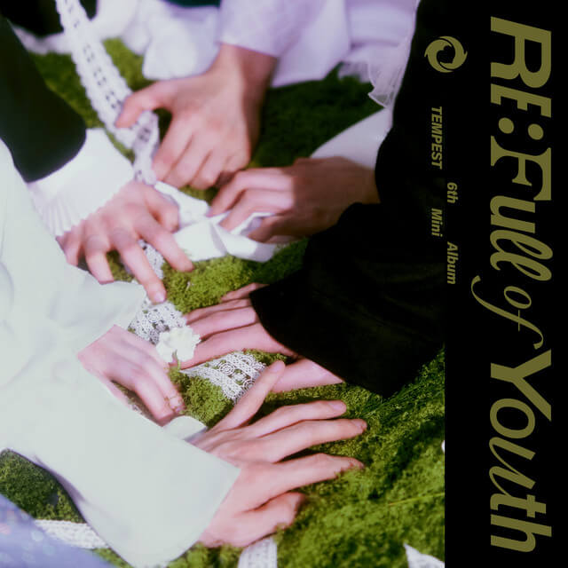 TEMPEST - WE ARE THE YOUNG Lyrics English Translation | lyricsfa.com